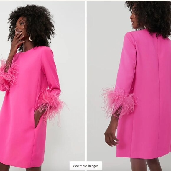 Tuckernuck Hot Pink Feather Mod Mary Dress - Picture 3 of 5